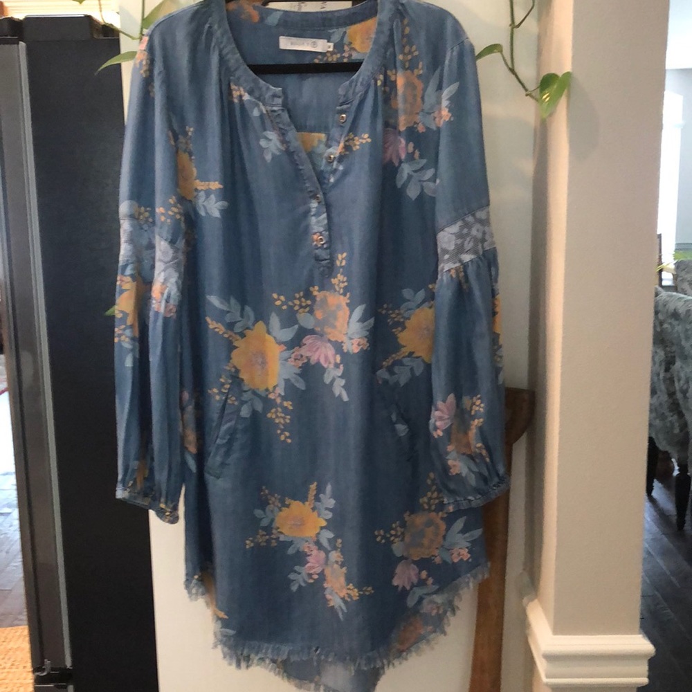 Billy T Denim dress